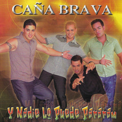 Usted Se Me Llevo la Vida
