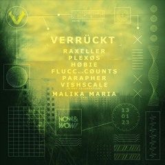 VERRUKT @NOW&WOW CLUB ROTTERDAM 13/1/23