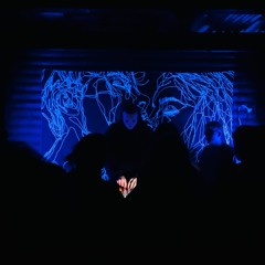 DJ Set @ Stonecreek Cabin Rave