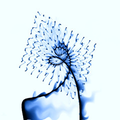 PLATO NO. 10615 False Fall