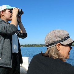 Protecting the Common Loon
