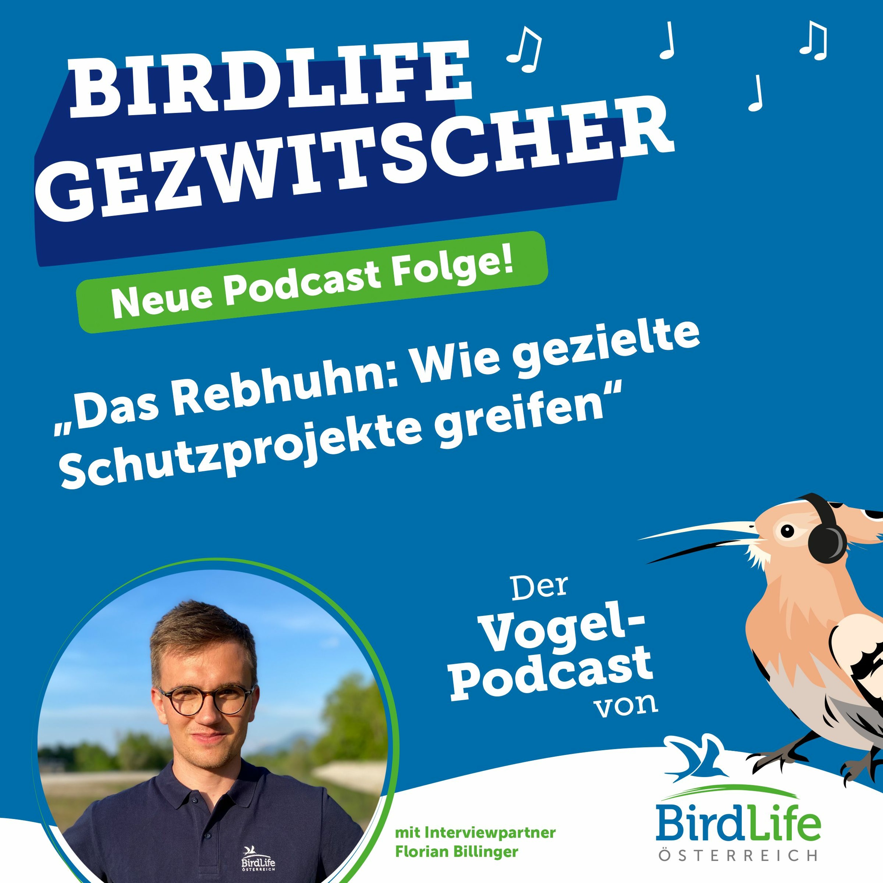 55. Das Rebhuhn: Wie gezielte Schutzprojekte greifen