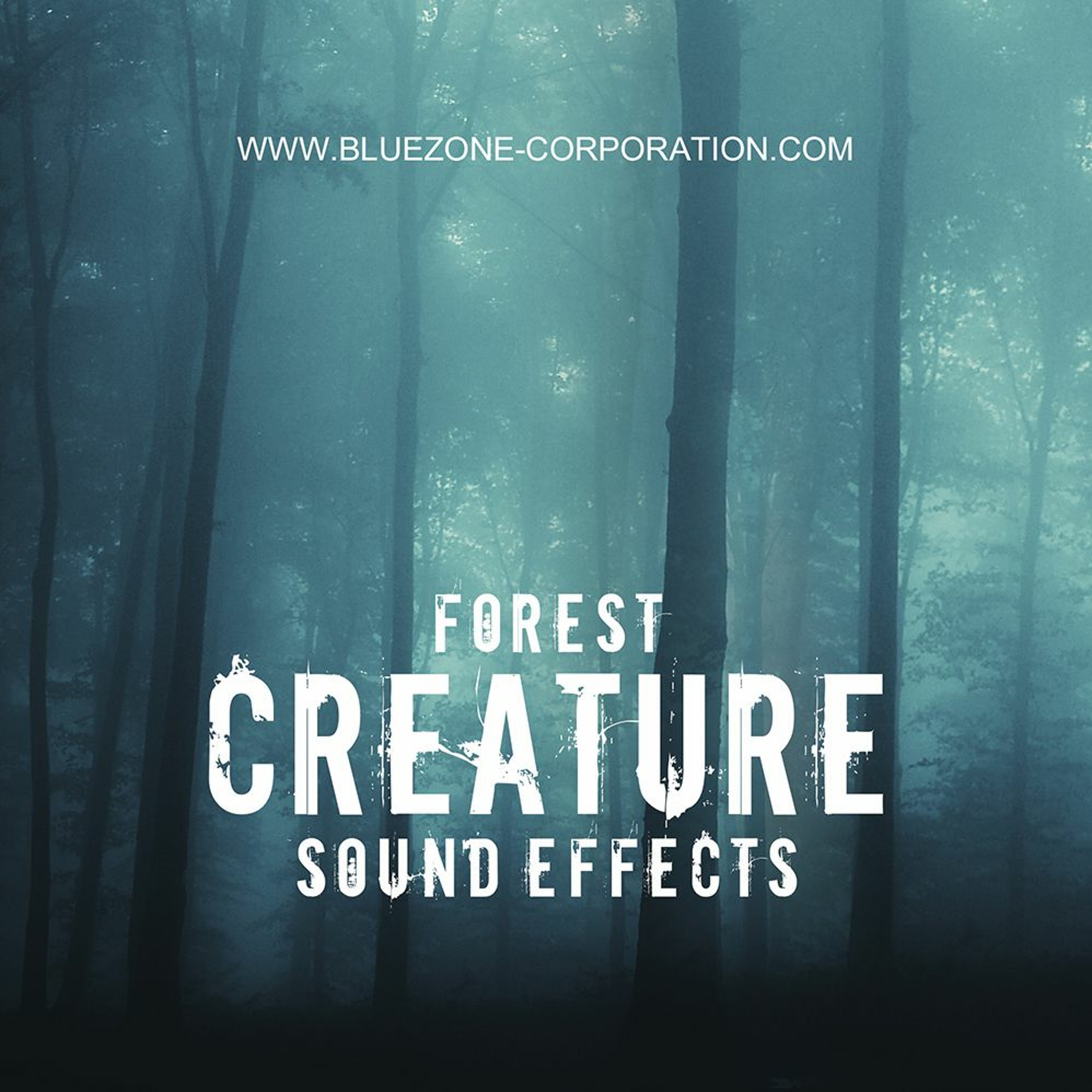 Bluezone Corporation
