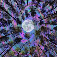 Moon Chaser x Piñata