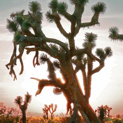 Ganjah Day feat. Midi Mate