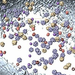 ivangucci x sangredesabueso - cute 4