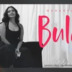 BULLA -  MEHARVAANI | Latest Punjabi Songs 2024
