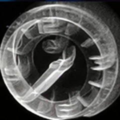 Vibe (feat Pablo & Seidon)