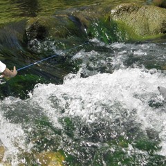 Fishing (Demonschool OST)