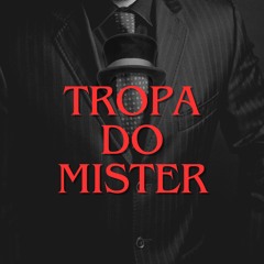 TROPA DO MISTER - DJ SALGUEIRINHO, DJ GORDYNHO, DOIXDÊ E MC BRISOLA