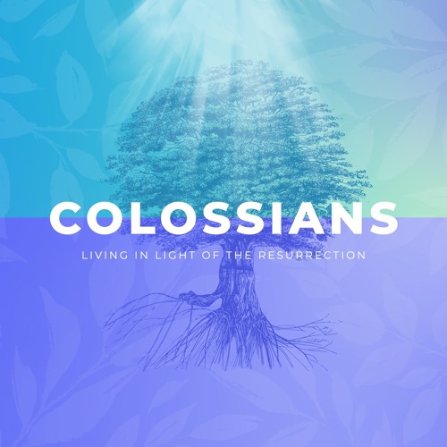 Colossians: Week 4