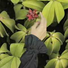 Betrand Peto - Deritaku, Cover By Rzkys.Putri