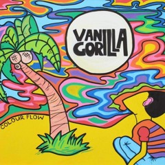 Nobody Important - Vanilla Gorilla