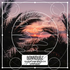bonndubz - quantum breach