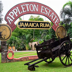 Review Special Price Appleton Estate Rum Tour And Tasting From Montego Bay