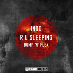 R U Sleeping (Bump N Flex Blunt Edit)