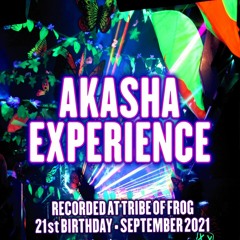 Akasha Experience - Recorded at TRiBE of FRoG 21st Birthday (Room 6 - PsyDub)