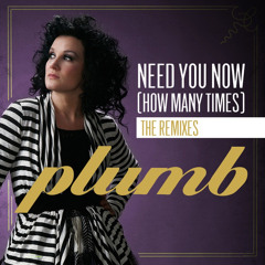 Plumb & Bryan Kearney - Need You Now (Dj Theory Remix)