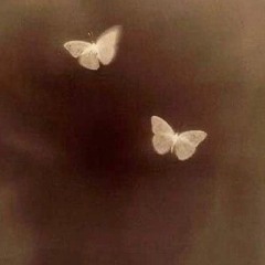 butterfliez lo-fi remix (stoicfaced)