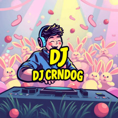 2025 EASTER SUNDAY FUNDAY PARTY MIX - TOP 40 EDM - DJ CRNDOG