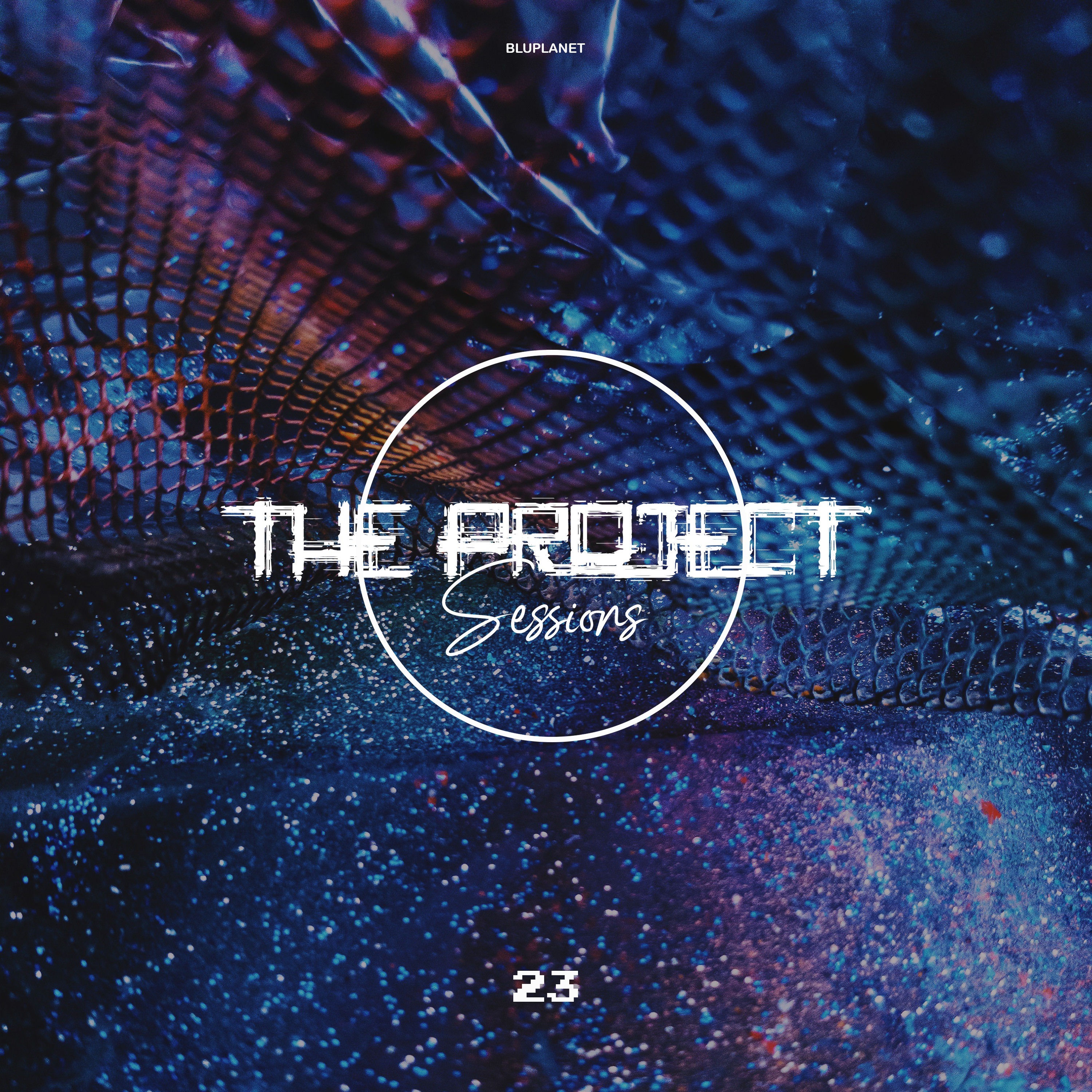The Project Sessions