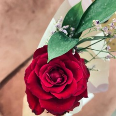 وأملي لمّا صورته في أجمل صورة كان رسمك عبد الحليم حافظ COVER