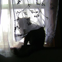 time w/ flesh (prod. methboiswag + slacker)