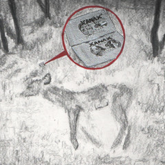 angel lost its wings