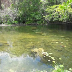 watercore