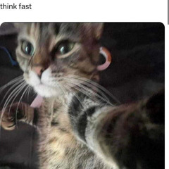 Never Lose Me (JAYKARE Ama + House Flip)