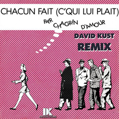 Chagrin D'Amour - Chacun Fait C'Qui Lui Plait (David Kust Remix)