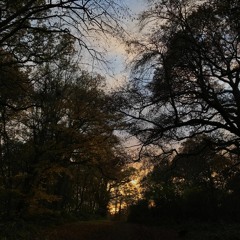 Fleeting