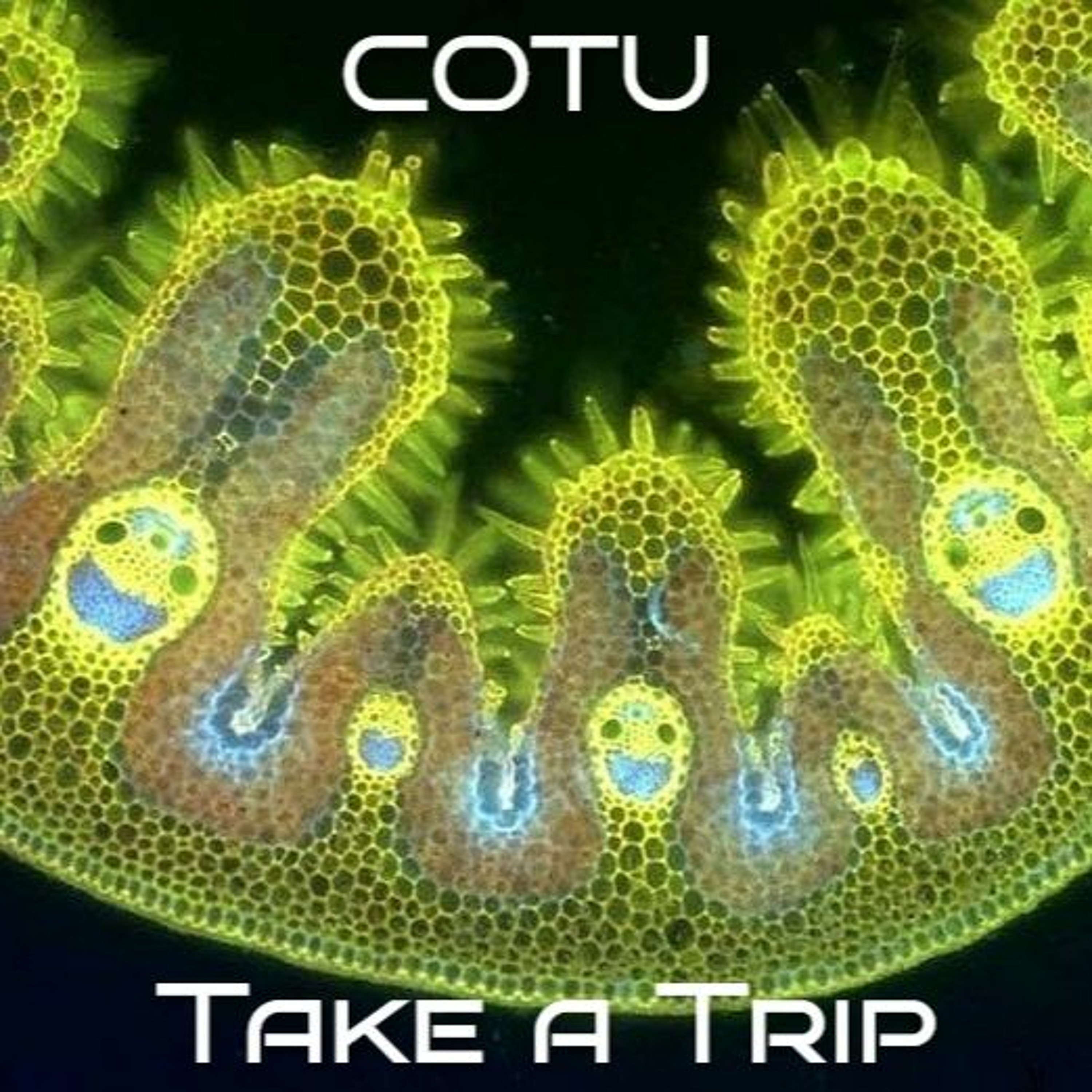 COTU Podcast