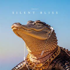 SILENT BLISS
