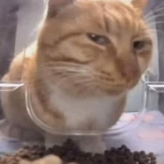 Đét Đèn Đẹt