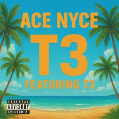 T3 (Feat. T3)