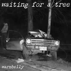 waiting for a tree