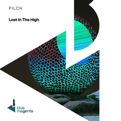 Lost In The High