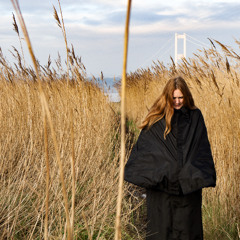 Things I Didn't Know Were There