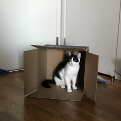 Where Are You Now v78