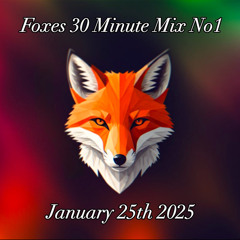 Foxes 30 min mix.wav