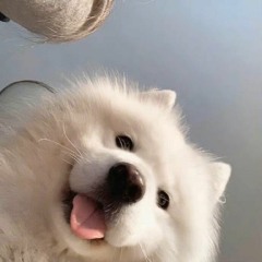 for teté ( hope u enjoy <3 )