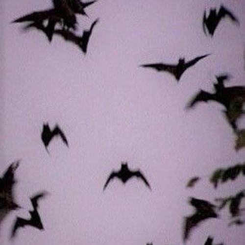 reo sptmbrr - no name 7