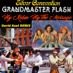 Silver Convention vs Grand Master Flash - Fly Robin Fly The Message (David Kust Radio Remix)