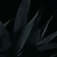 Track 10