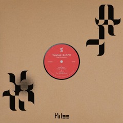 Tapefeed, Z.I.P.P.O | Dual Dimensions | FIDES020