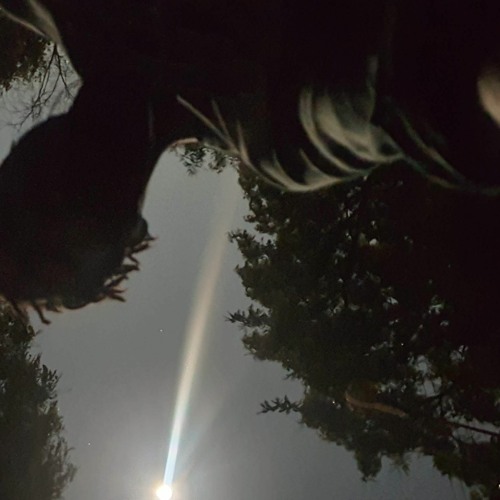 Bruninyo , Yong Chili - Get You Back HD 720p