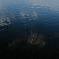 Muss Lagoon