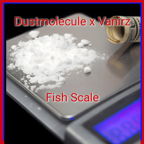 DustMolecule x Vanirz - Fishscale [Free DL]