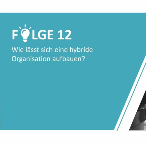 #12 - Wie lässt sich eine hybride Organisation aufbauen?